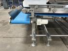2013 Pizzamatic Waterfall Topping Applicator With Return Conveyors